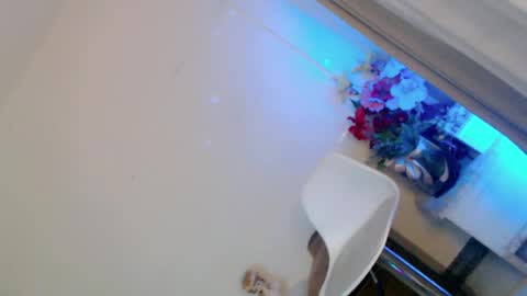 prettybadbitch28 online show from June 2026 01:23:01 PM