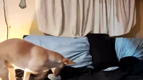 Snapshot of prettyboytatted69 chatting on February 2025 07:53:02 AM Prettyslangin69 FYPM online show from February 2025 07:53:02 AM