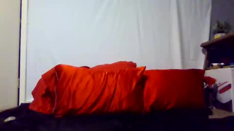 Snapshot of prettyhairedbone chatting on February 2026 03:24:02 AM Pink Pussy69 online show from February 2026 03:24:02 AM