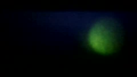 prettyma online show from July 2026 07:45:01 AM