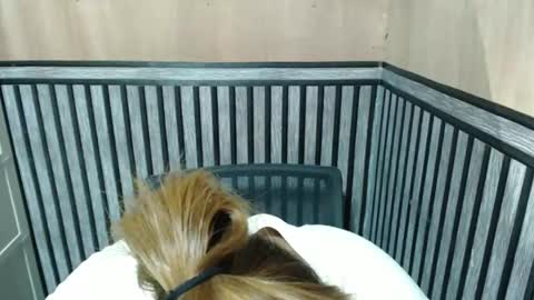 Snapshot of prettykate_04 chatting on October 2025 07:00:01 PM Kate online show from October 2025 07:00:01 PM