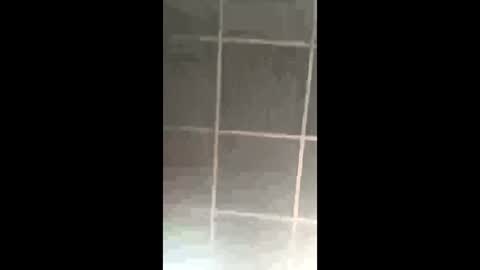 Snapshot of prettypinkpussy615 chatting on March 2026 09:40:02 PM prettypinkpussy615 online show from March 2026 09:40:02 PM