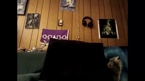 prettysolid7 online show from October 2025 07:19:01 AM