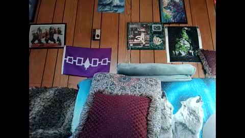 prettysolid7 online show from March 2026 12:55:01 PM