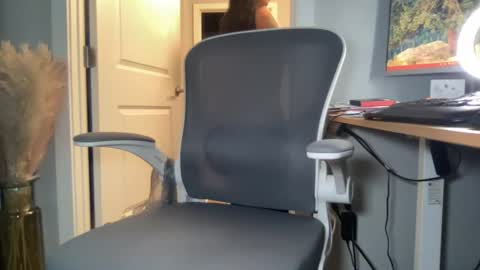 Snapshot of prettywap85 chatting on July 2026 06:53:01 PM Discrete Pussy online show from July 2026 06:53:01 PM