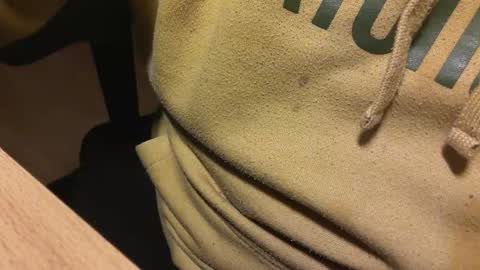 Snapshot of prevision chatting on March 2026 09:56:02 PM Pablo online show from March 2026 09:56:02 PM