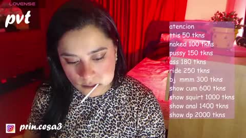 princesakelly online show from April 2026 05:01:02 AM