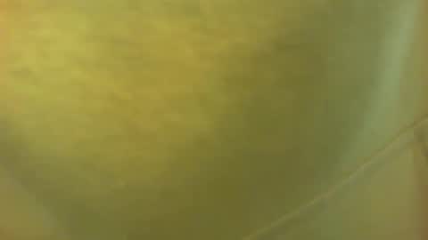 princetonbar55 online show from February 2025 07:06:02 PM