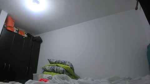 Snapshot of priscilasmiith25 chatting on February 2025 04:27:02 AM PriscilaSmiith online show from February 2025 04:27:02 AM