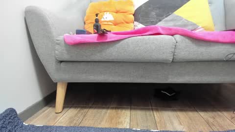 PrittiDitti online show from January 2025 02:04:01 AM