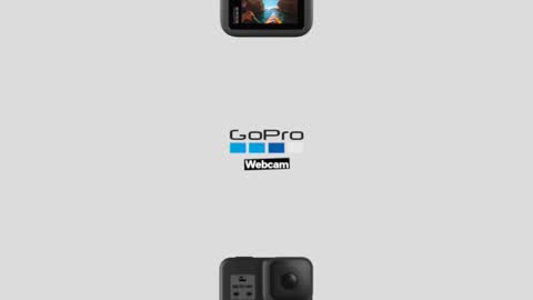 prittinho online show from April 2026 09:10:01 AM