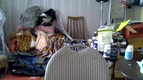 projectorepson online show from June 2026 04:20:01 PM