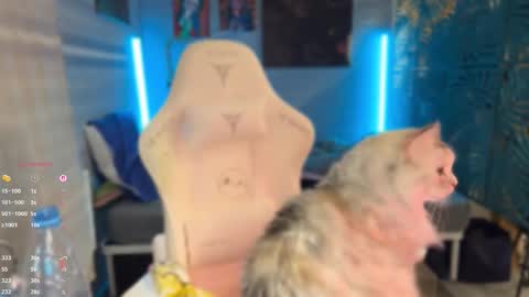 Queen of Pain online show from March 2026 04:04:01 PM