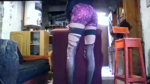 Ar Lily online show from February 2025 06:47:02 PM