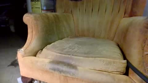 pspee313 online show from October 2025 11:06:02 PM