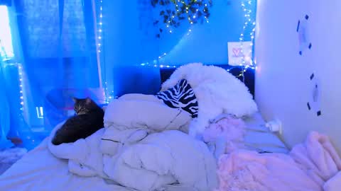 Snapshot of pufpufog chatting on May 2026 02:25:01 PM EsteticHouse online show from May 2026 02:25:01 PM