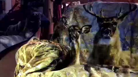 Snapshot of pumpslurrys chatting on October 2025 11:26:02 PM pumpslurrys online show from October 2025 11:26:02 PM