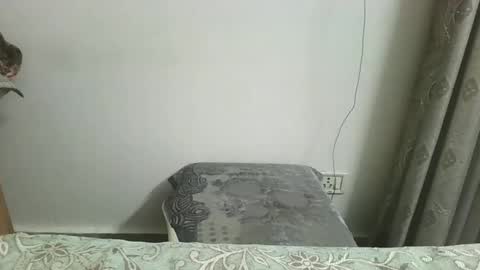 nutella online show from November 2025 07:18:02 AM