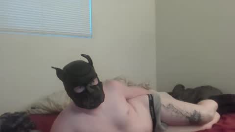 puptav online show from March 2026 01:01:01 AM