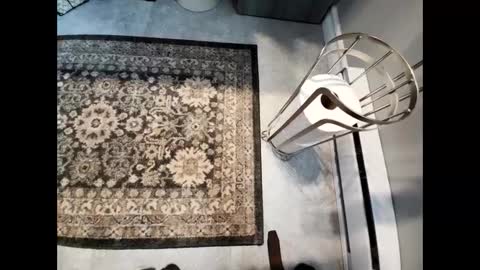 Snapshot of purdyguy7777 chatting on February 2025 05:46:02 PM purdyguy7777 online show from February 2025 05:46:02 PM