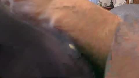 Snapshot of purdyguy7777 chatting on February 2026 02:15:02 PM purdyguy7777 online show from February 2026 02:15:02 PM