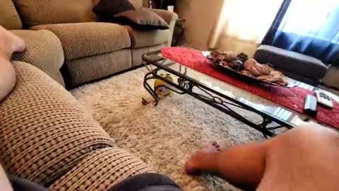 Snapshot of purdyguy7777 chatting on March 2026 07:40:01 PM purdyguy7777 online show from March 2026 07:40:01 PM