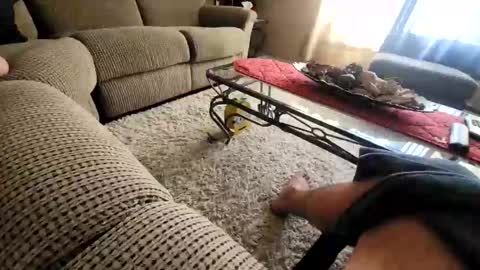 Snapshot of purdyguy7777 chatting on March 2026 07:52:01 PM purdyguy7777 online show from March 2026 07:52:01 PM