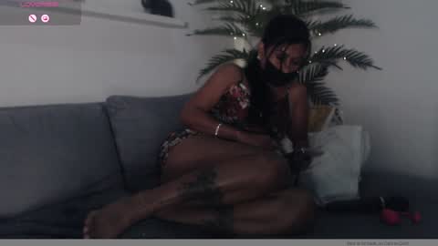  POCCA online show from January 2025 11:36:02 AM