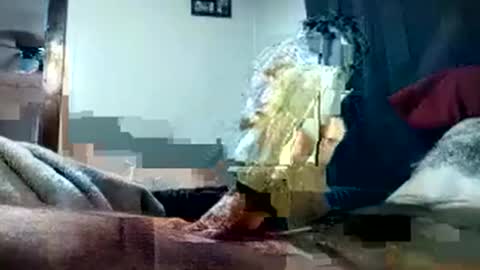 Pussyluver420 online show from October 2025 08:15:01 PM