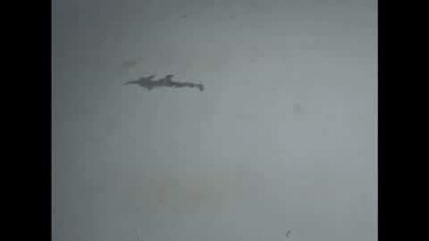 pussyxwetx online show from February 2026 05:02:02 PM