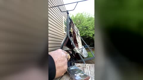 pyrex8 online show from April 2026 11:24:01 PM