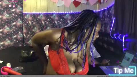 qnibee online show from September 2025 05:09:02 AM