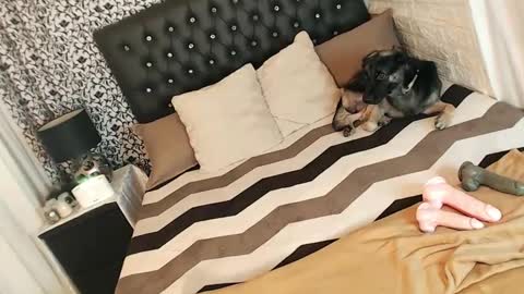 Snapshot of queen_cummer chatting on March 2025 03:29:01 AM Yeng online show from March 2025 03:29:01 AM