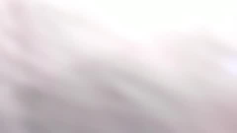   online show from March 2025 06:05:02 PM