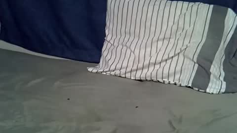 queen_polite online show from February 2026 08:02:01 AM