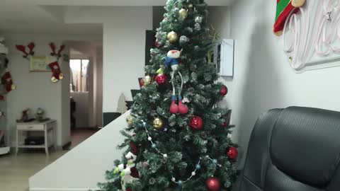 Snapshot of queen_zafiro88 chatting on November 2025 12:33:01 PM Zafiro ILL BROADCAST UNTIL DECEMBER Onlyfans online show from November 2025 12:33:01 PM