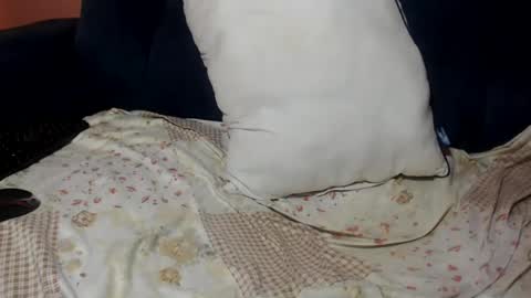 queenchloe1 online show from July 2026 10:50:01 AM