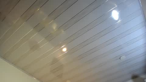 Rose online show from December 2024 12:23:02 PM