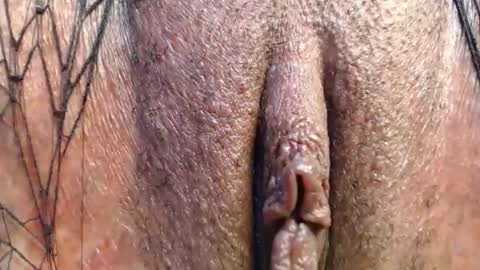 Quickie online show from April 2026 09:32:02 PM