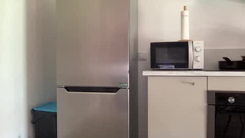 Quinnyelena online show from April 2026 12:08:02 PM