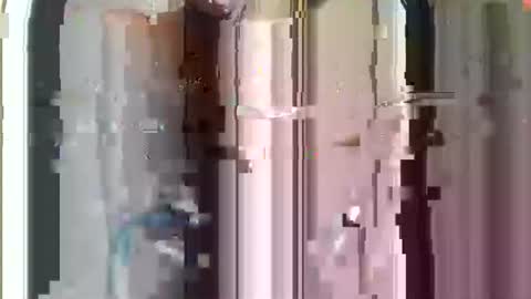 r04233054 online show from November 2025 08:50:02 AM