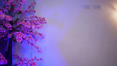 RACHEL BLAKE online show from January 2025 08:00:01 AM