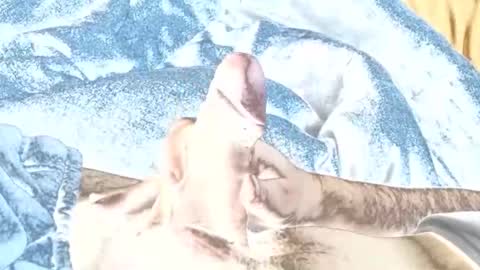 rabo_rico online show from February 2026 10:14:01 AM