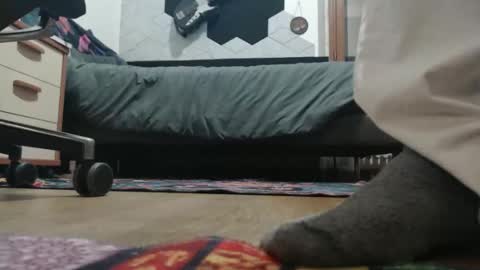 Snapshot of raccon68 chatting on December 2025 07:32:01 PM Raccoon68 online show from December 2025 07:32:01 PM