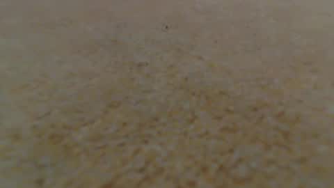 racefliege online show from January 2025 06:02:02 AM