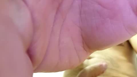 Snapshot of raidehot chatting on October 2025 11:44:02 AM raidehot online show from October 2025 11:44:02 AM