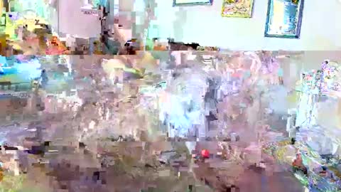 raiderred69 online show from February 2025 09:49:01 PM