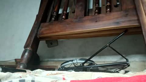 Ray online show from November 2025 06:12:02 AM