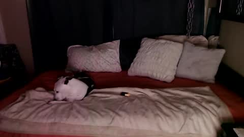    RAMONA Q   online show from December 2024 08:49:02 AM