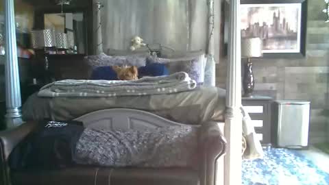 Randy8inbater online show from January 2026 08:12:01 PM